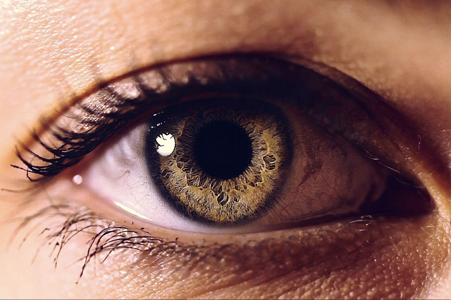 national-geographic-video